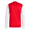 Arsenal 2025/2026 Long Sleeve Home Authentic Shirt