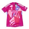 Arsenal 2024/2025 Pink Goalkeeper Shirt - (Size XL) Arsenal 2024/2025 Pink Goalkeeper Shirt - (Size XL)